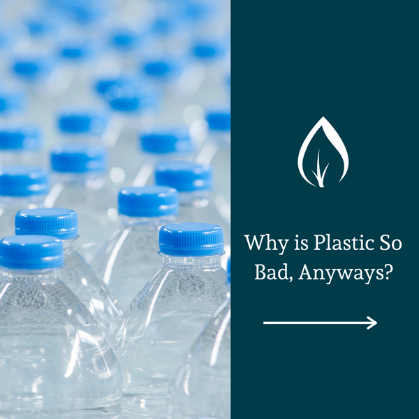 Why is plastic so bad, anyways?