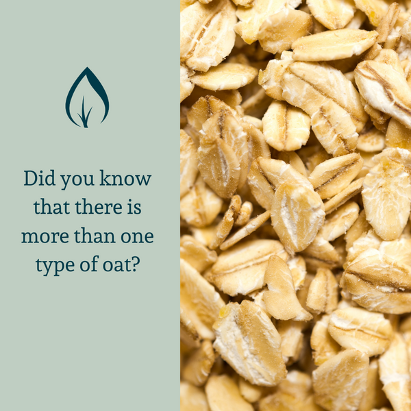 Did you know that there is more than one type of oat?