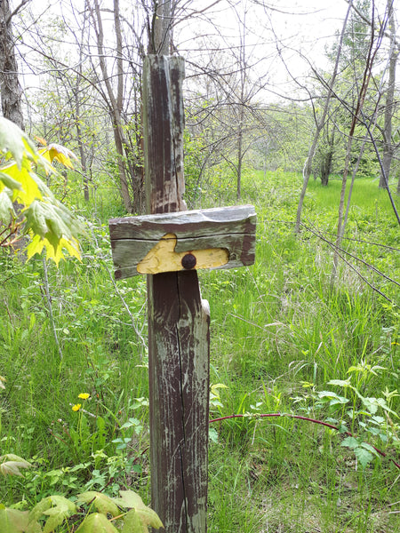 McKeough Conservation Area