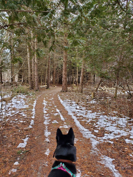 A.W. Conservation Area