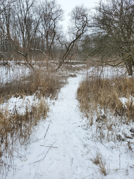 Moore Habitat Management Area