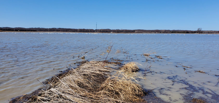 Lambton County Heritage Forest