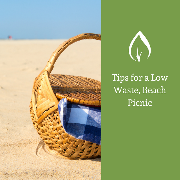Tips for a Low Waste Beach Picnic