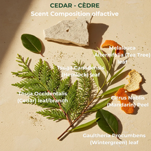 Load image into Gallery viewer, Conditioner, Cedar &amp; Sage