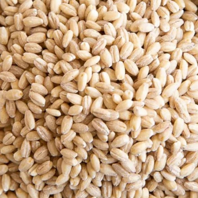 Pearl Barley