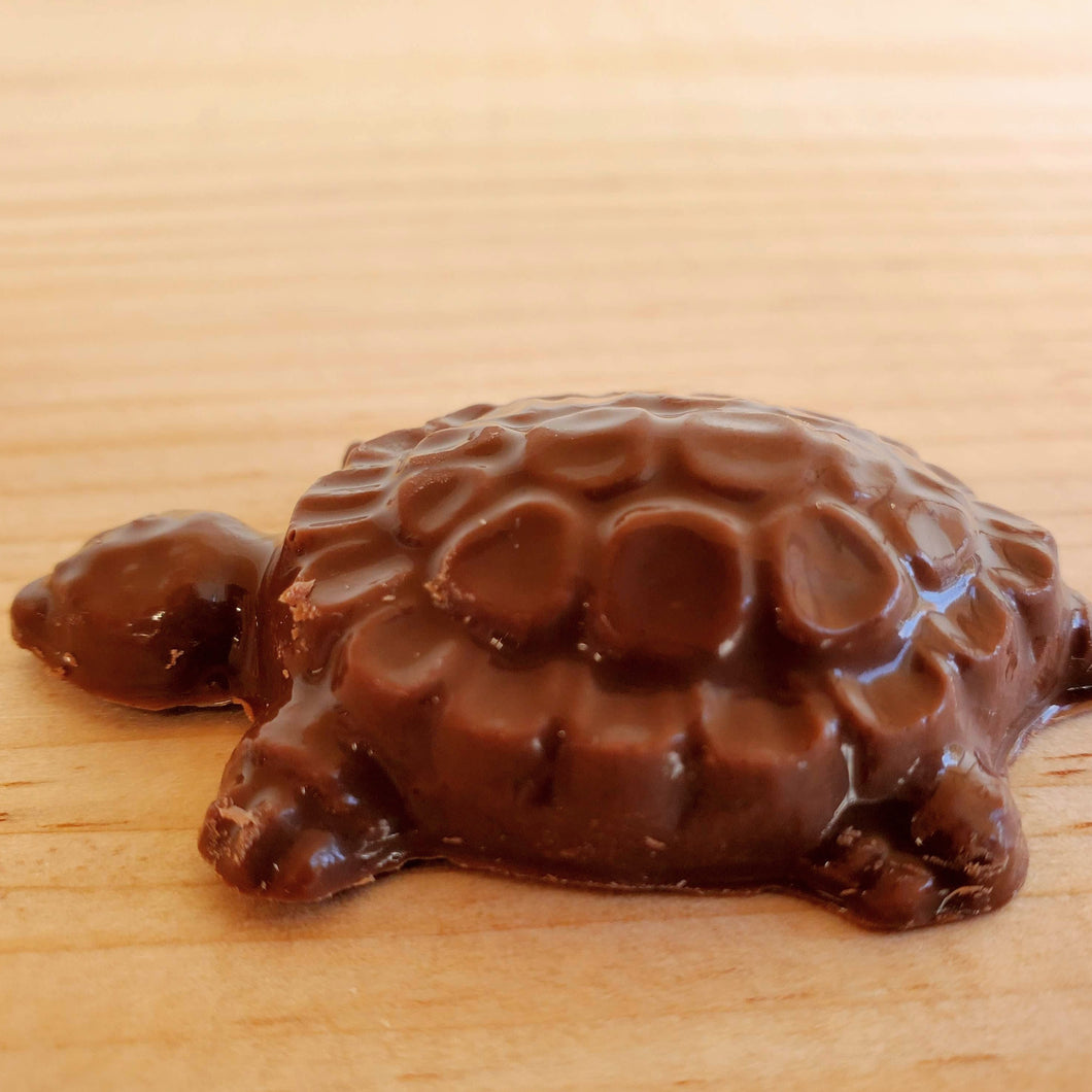 Turtles, MAC