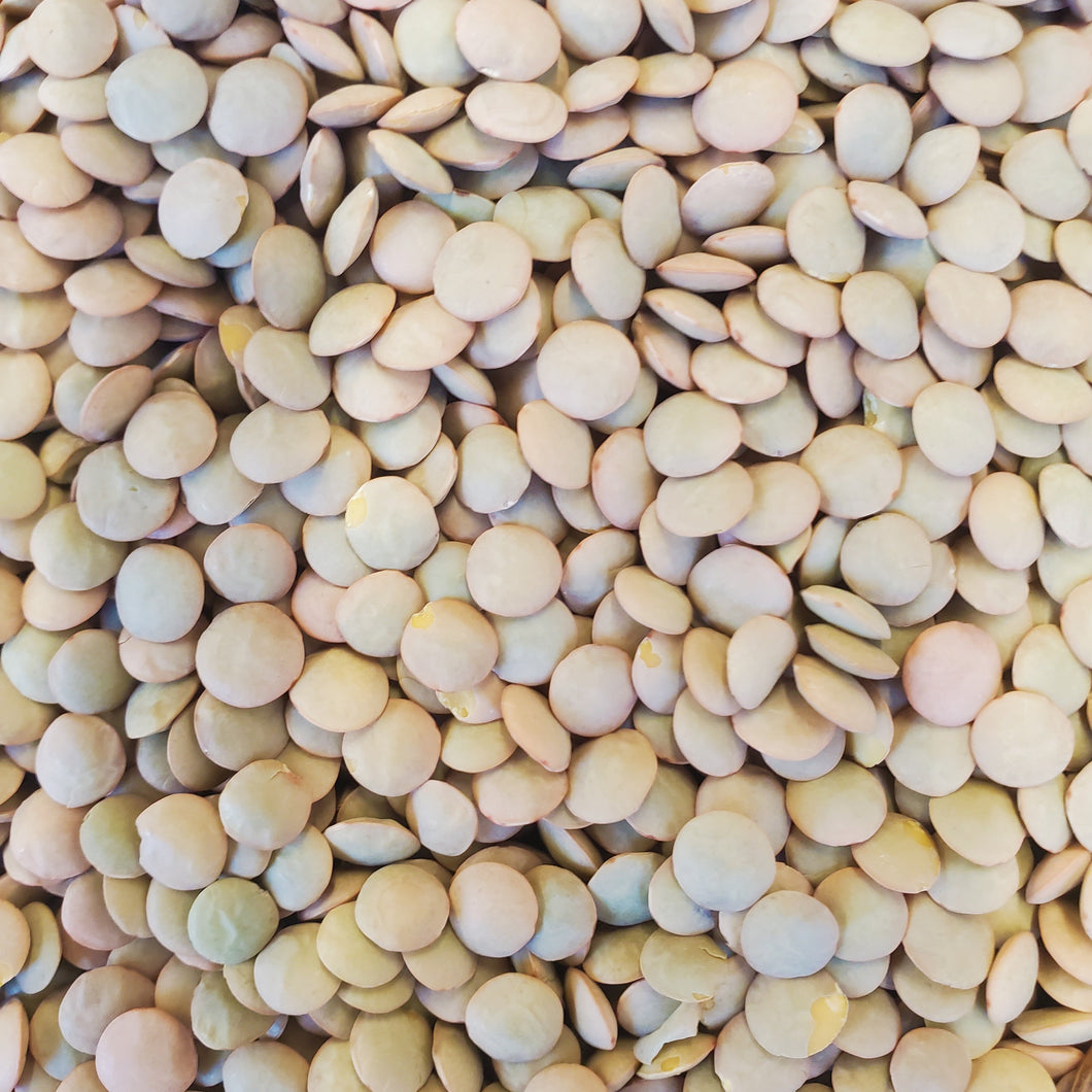 Green Lentils
