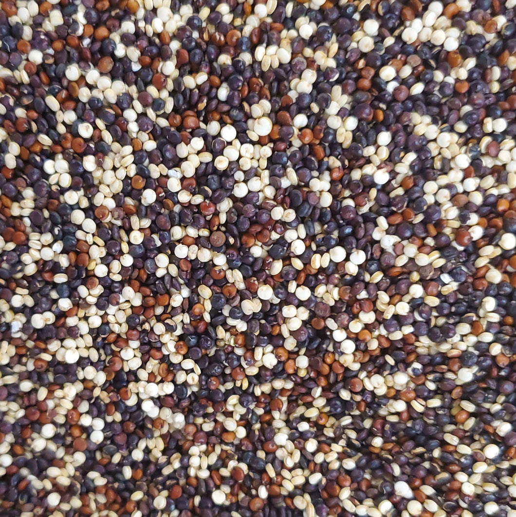 Organic Tricolour Quinoa