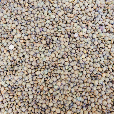 French Green Lentils
