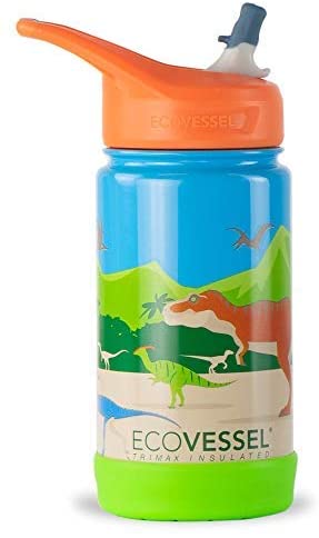 Water Bottle, EcoVessel 12oz, Dinosaur