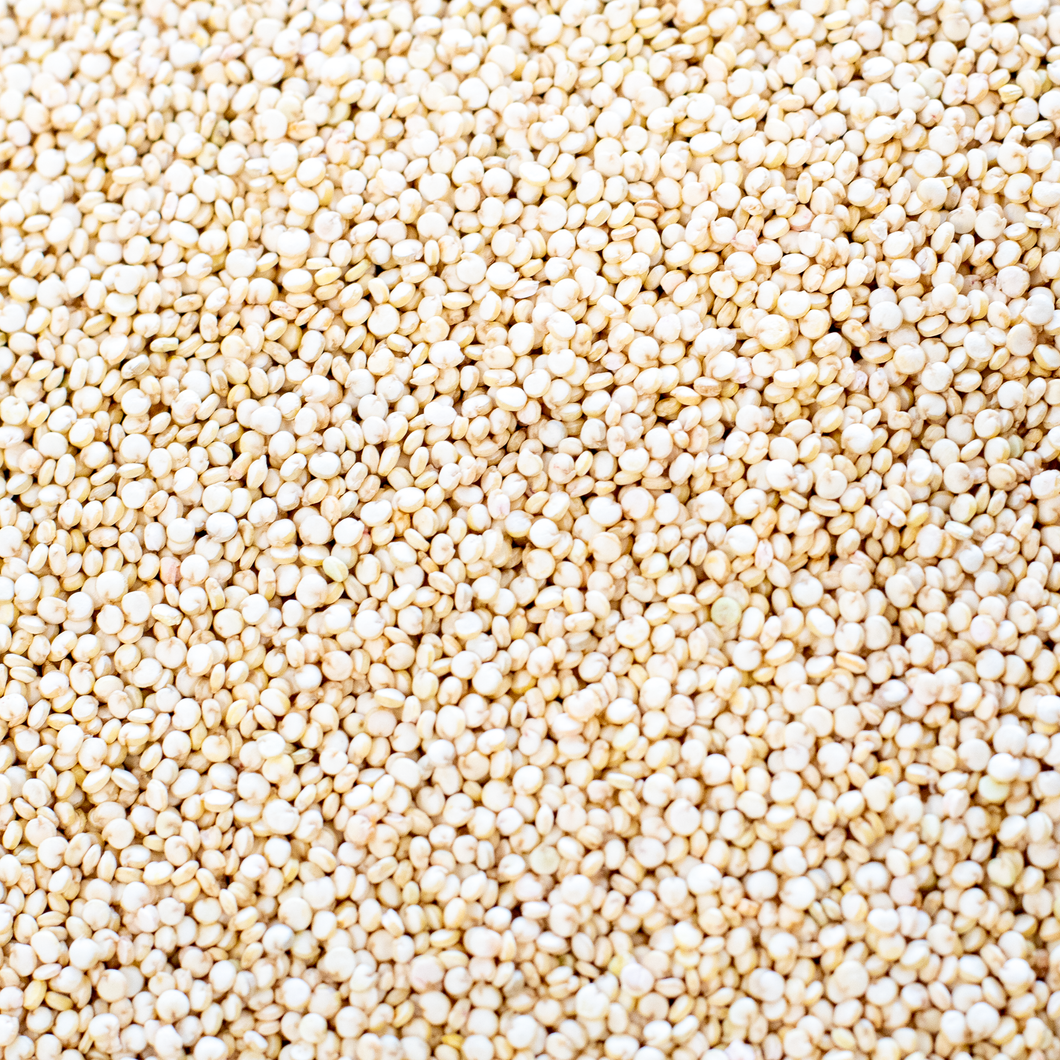 Organic White Quinoa