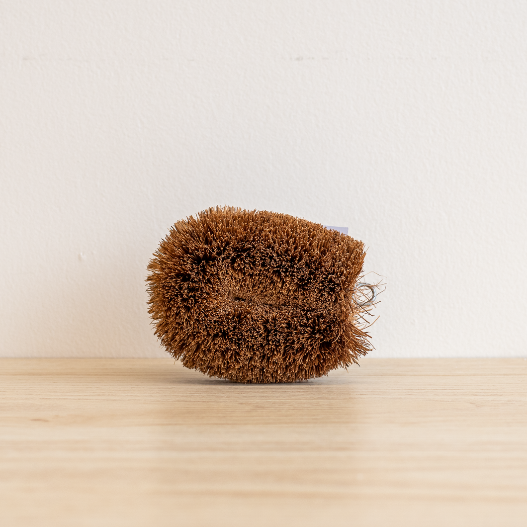 Vegetable Brush, Coconut