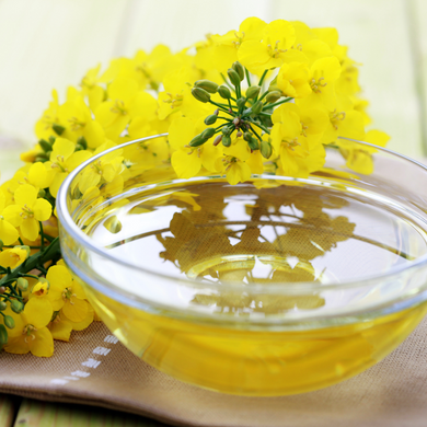 Canola Oil