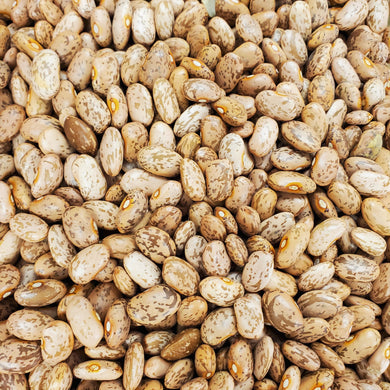Pinto Beans